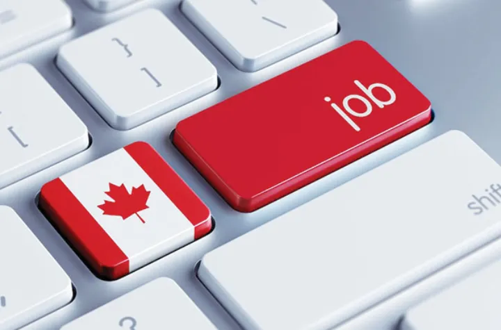 گزینش متخصصین موقت و دائم در کبک چگونه است؟